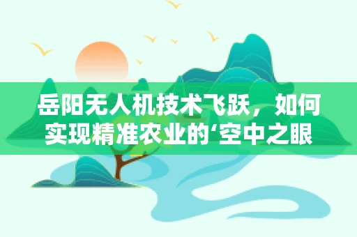 岳阳无人机技术飞跃，如何实现精准农业的‘空中之眼’？