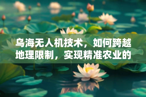 乌海无人机技术，如何跨越地理限制，实现精准农业的飞跃？