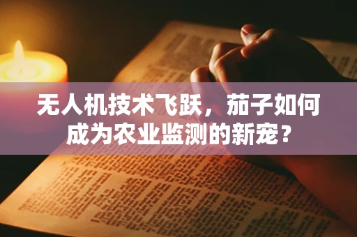 无人机技术飞跃，茄子如何成为农业监测的新宠？