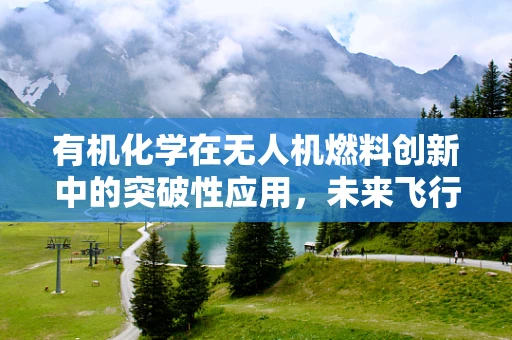 有机化学在无人机燃料创新中的突破性应用，未来飞行的新动力？