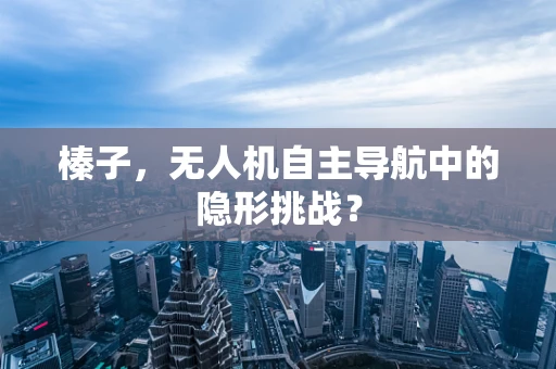 榛子，无人机自主导航中的隐形挑战？
