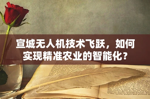 宣城无人机技术飞跃，如何实现精准农业的智能化？