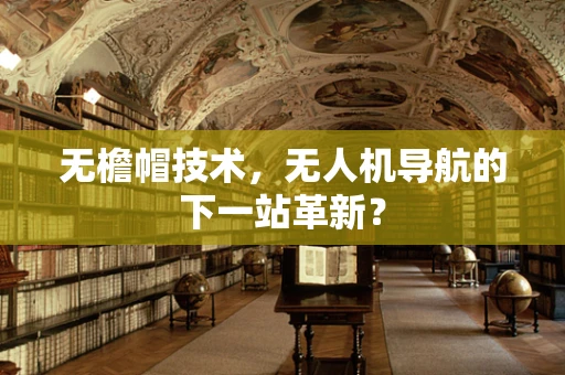 无檐帽技术，无人机导航的下一站革新？
