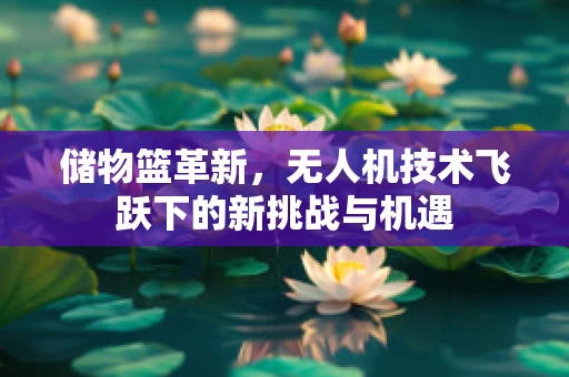 储物篮革新，无人机技术飞跃下的新挑战与机遇