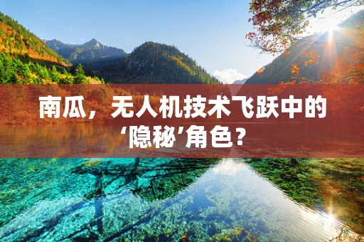 南瓜，无人机技术飞跃中的‘隐秘’角色？