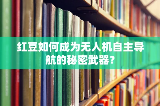 红豆如何成为无人机自主导航的秘密武器？