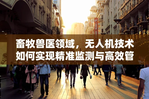 畜牧兽医领域，无人机技术如何实现精准监测与高效管理？