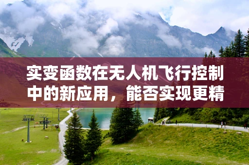 实变函数在无人机飞行控制中的新应用，能否实现更精准的路径规划？