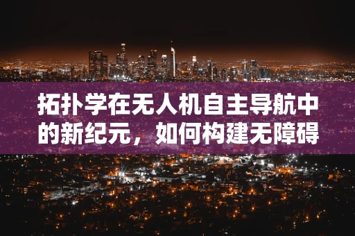 拓扑学在无人机自主导航中的新纪元，如何构建无障碍飞行路径？