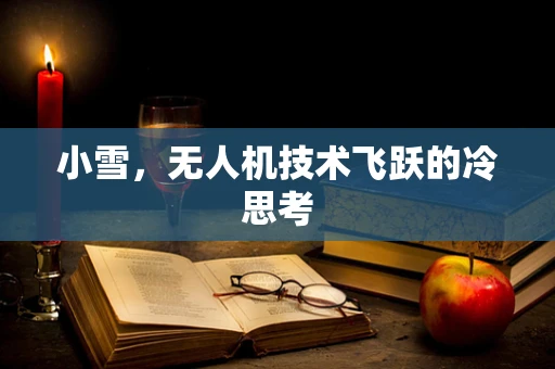 小雪，无人机技术飞跃的冷思考
