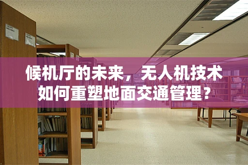 候机厅的未来，无人机技术如何重塑地面交通管理？