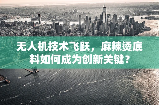 无人机技术飞跃，麻辣烫底料如何成为创新关键？