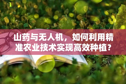 山药与无人机，如何利用精准农业技术实现高效种植？