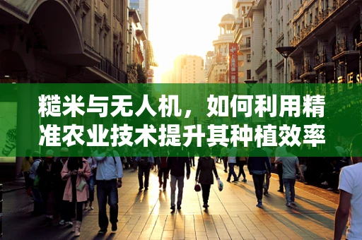 糙米与无人机，如何利用精准农业技术提升其种植效率？