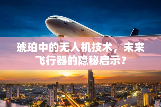琥珀中的无人机技术，未来飞行器的隐秘启示？