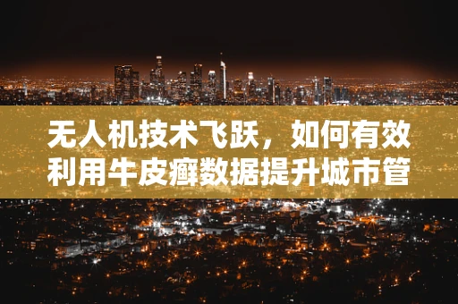 无人机技术飞跃，如何有效利用牛皮癣数据提升城市管理？