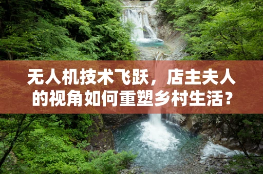 无人机技术飞跃，店主夫人的视角如何重塑乡村生活？