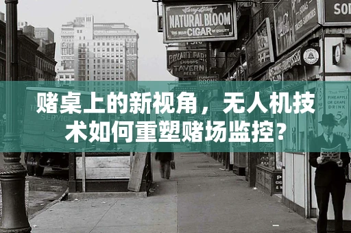 赌桌上的新视角，无人机技术如何重塑赌场监控？