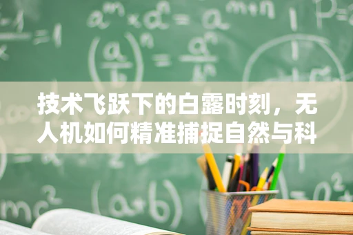 技术飞跃下的白露时刻，无人机如何精准捕捉自然与科技的微妙平衡？