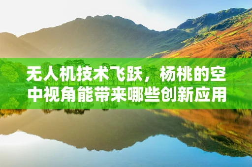 无人机技术飞跃，杨桃的空中视角能带来哪些创新应用？