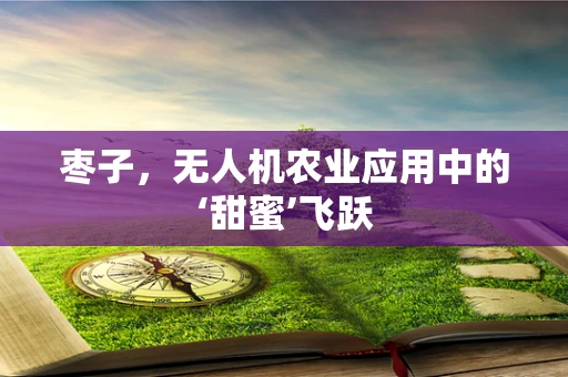 枣子，无人机农业应用中的‘甜蜜’飞跃