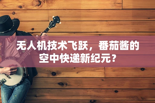 无人机技术飞跃，番茄酱的空中快递新纪元？
