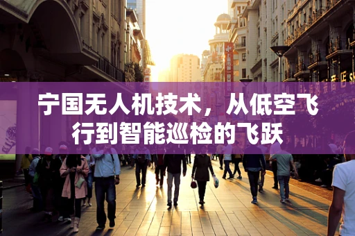 宁国无人机技术，从低空飞行到智能巡检的飞跃