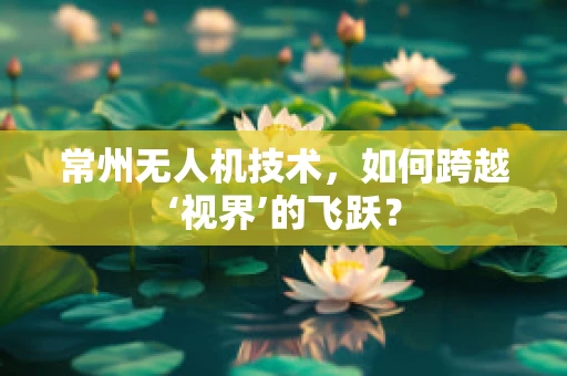 常州无人机技术，如何跨越‘视界’的飞跃？