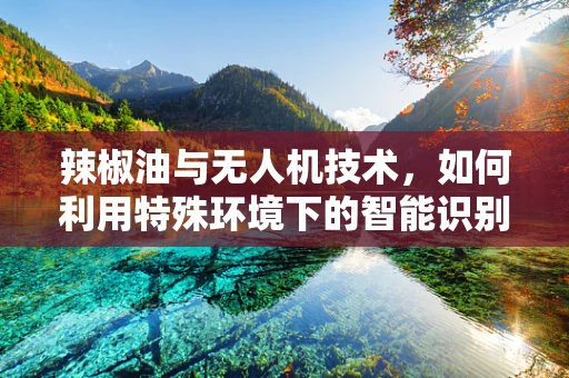 辣椒油与无人机技术，如何利用特殊环境下的智能识别？