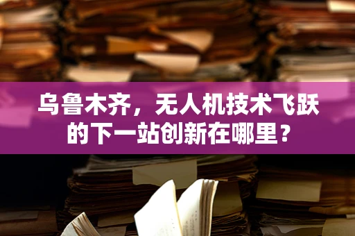 乌鲁木齐，无人机技术飞跃的下一站创新在哪里？