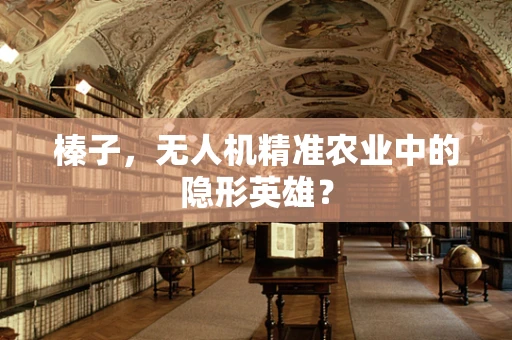 榛子，无人机精准农业中的隐形英雄？