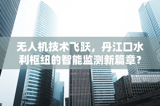无人机技术飞跃，丹江口水利枢纽的智能监测新篇章？