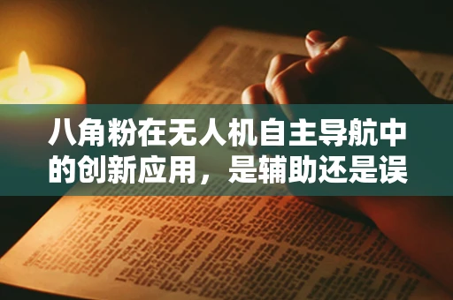 八角粉在无人机自主导航中的创新应用，是辅助还是误导？