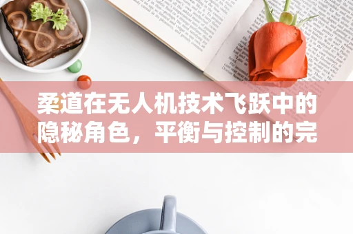 柔道在无人机技术飞跃中的隐秘角色，平衡与控制的完美结合