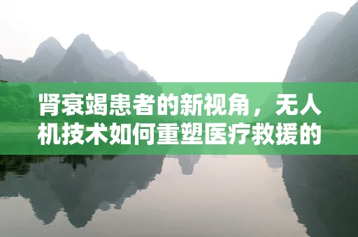 肾衰竭患者的新视角，无人机技术如何重塑医疗救援的未来？