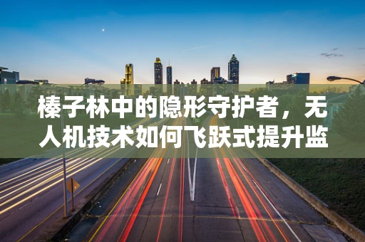 榛子林中的隐形守护者，无人机技术如何飞跃式提升监测效率？