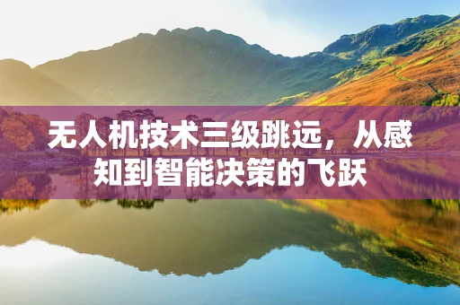 无人机技术三级跳远，从感知到智能决策的飞跃