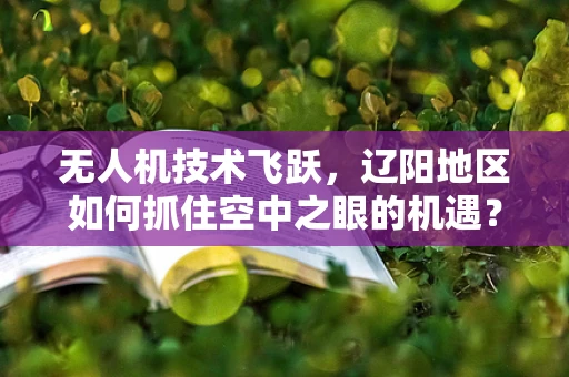 无人机技术飞跃，辽阳地区如何抓住空中之眼的机遇？