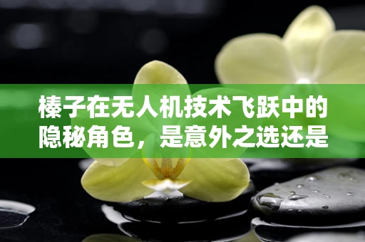 榛子在无人机技术飞跃中的隐秘角色，是意外之选还是创新突破？