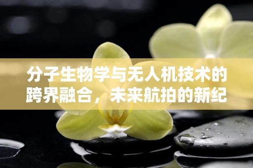 分子生物学与无人机技术的跨界融合，未来航拍的新纪元？