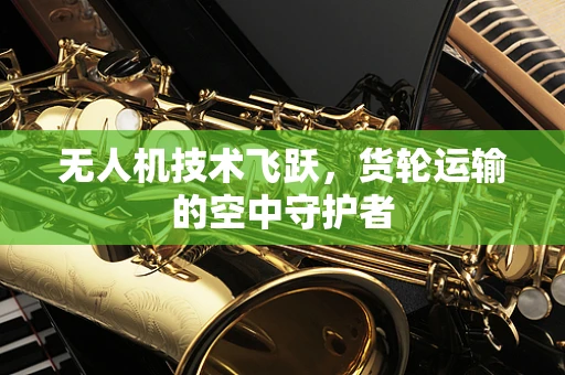 无人机技术飞跃，货轮运输的空中守护者