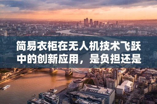 简易衣柜在无人机技术飞跃中的创新应用，是负担还是助力？