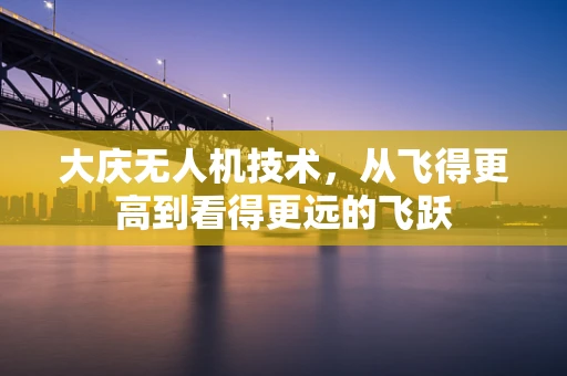大庆无人机技术，从飞得更高到看得更远的飞跃