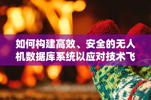 如何构建高效、安全的无人机数据库系统以应对技术飞跃的挑战？