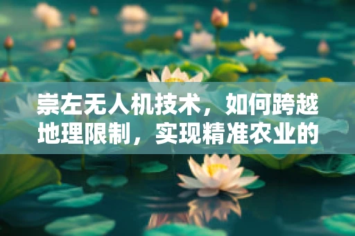 崇左无人机技术，如何跨越地理限制，实现精准农业的飞跃？