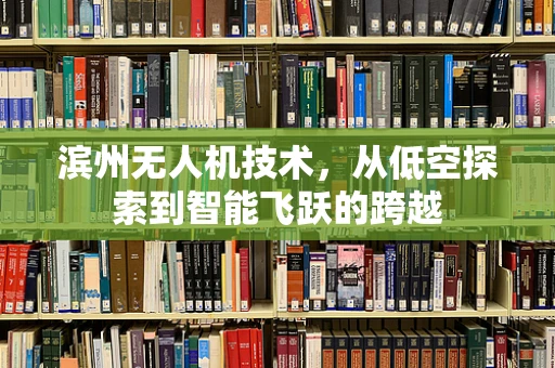 滨州无人机技术，从低空探索到智能飞跃的跨越