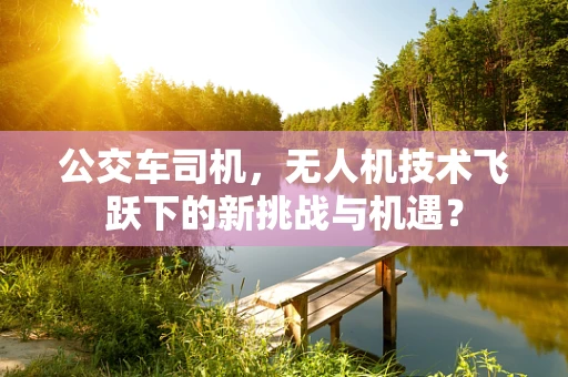 公交车司机，无人机技术飞跃下的新挑战与机遇？