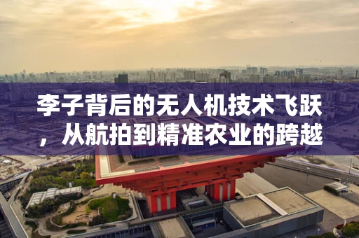 李子背后的无人机技术飞跃，从航拍到精准农业的跨越