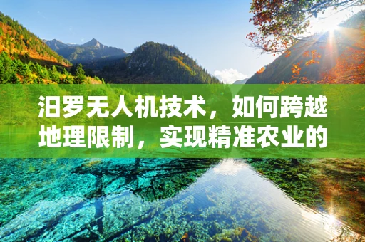 汨罗无人机技术，如何跨越地理限制，实现精准农业的飞跃？