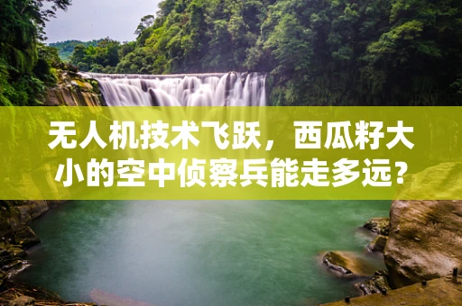 无人机技术飞跃，西瓜籽大小的空中侦察兵能走多远？